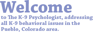 Welcome to the Canine Psychologist, addressing all K-9 behavioral issues in the Pueblo, Colorado Area.