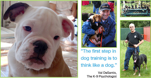 The first step in dog training is to think like a dog. -Val DeSantis, The K-9 Psychologist